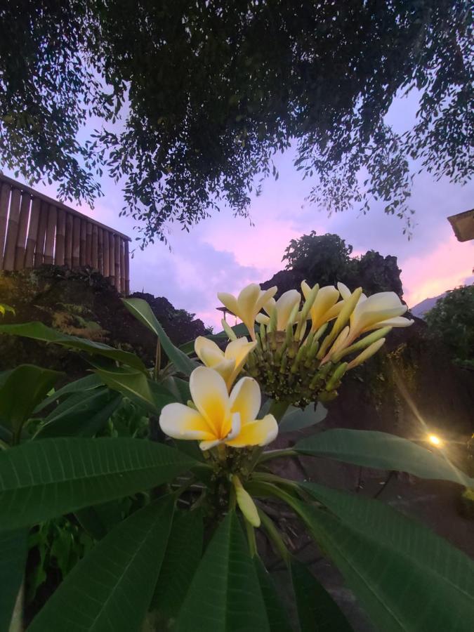 Batur Volcano Basecamp Bed & Breakfast